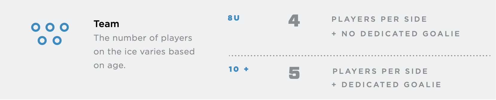 New to hockey guide team section