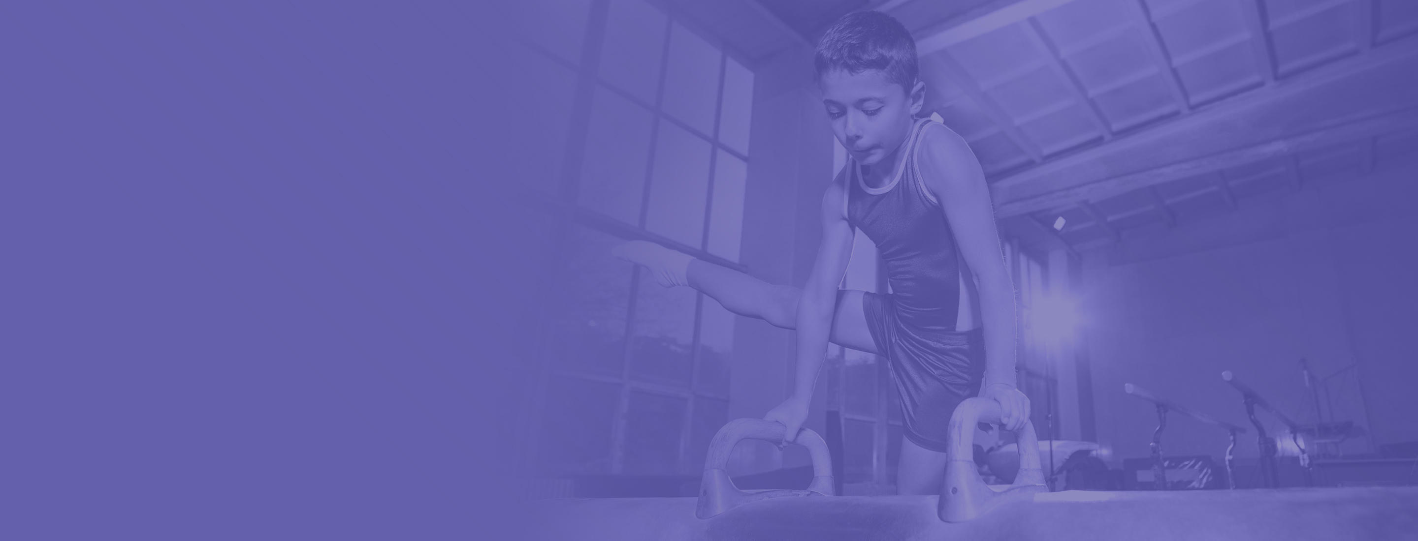 Gymnast on pommel horse