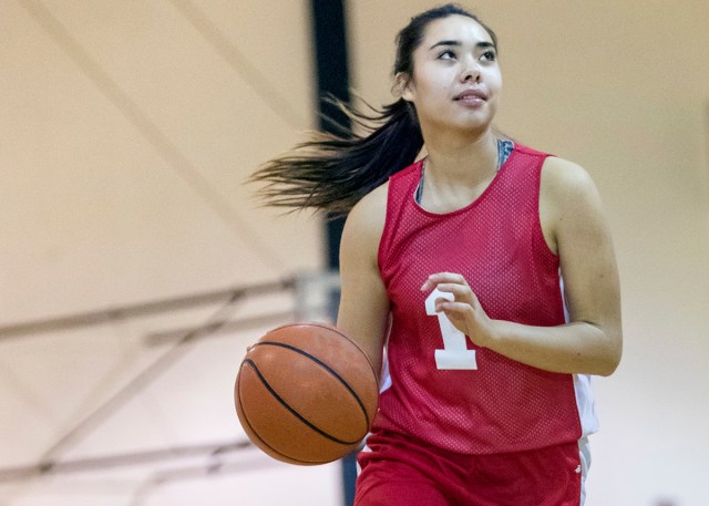 New to Basketball Hero