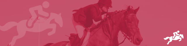 New to Sports/Terms to Know: Equestrian hero image