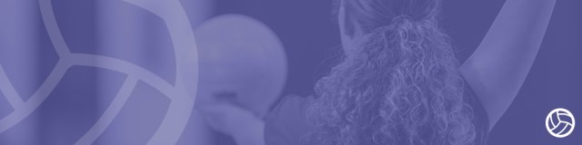 New to Sport: volleyball hero graphic