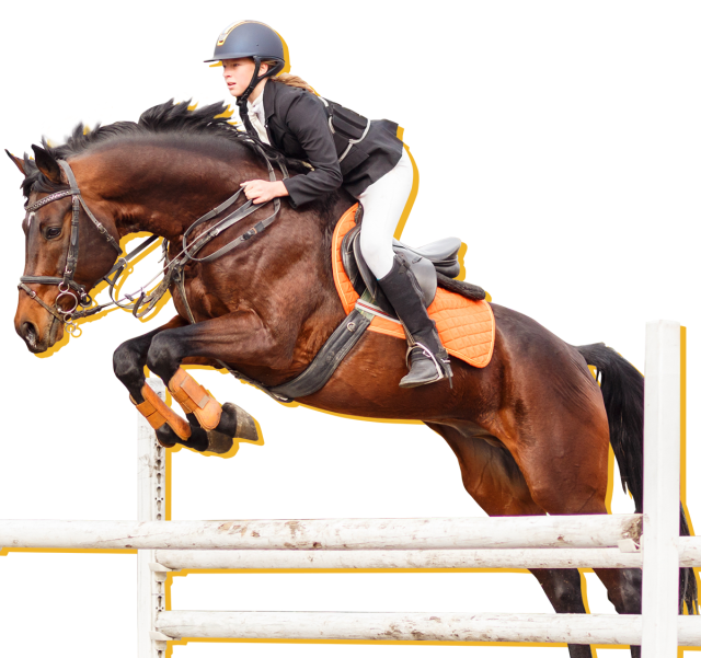 Olympic Equestrian Sport Directory Hero Foreground