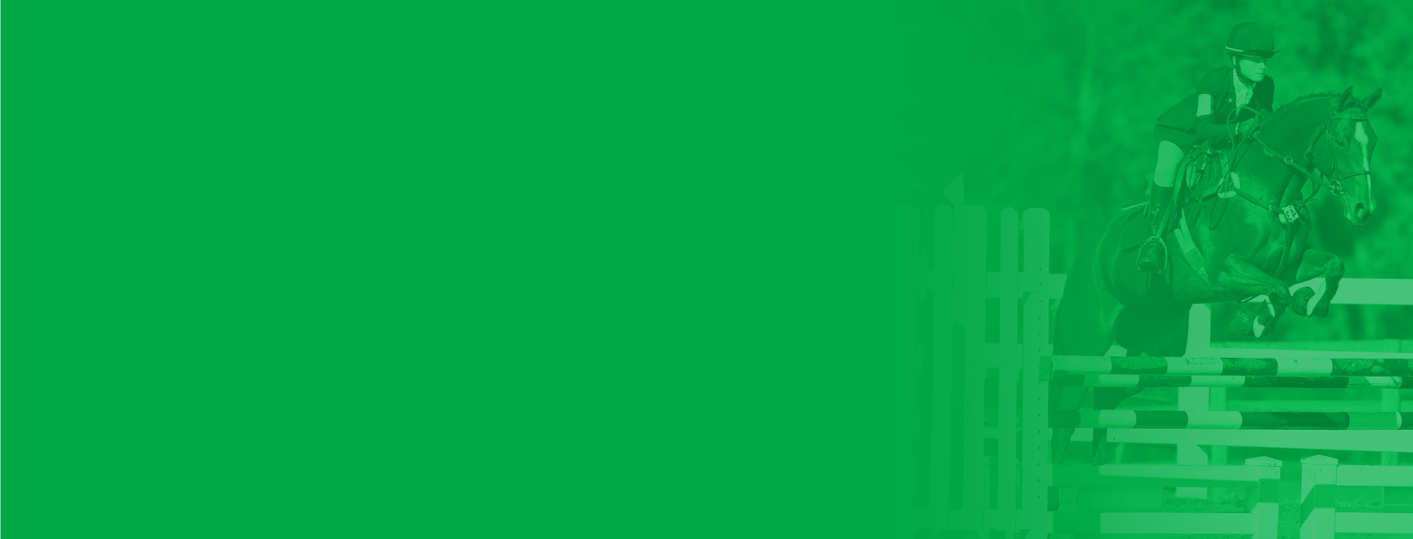 Green background horseback riding jumper