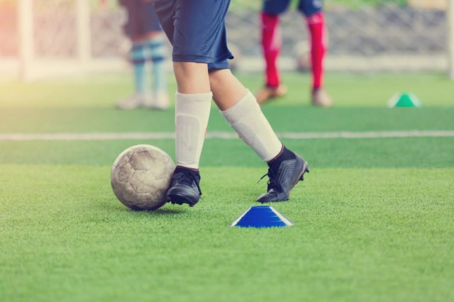 shutterstock_1107655607