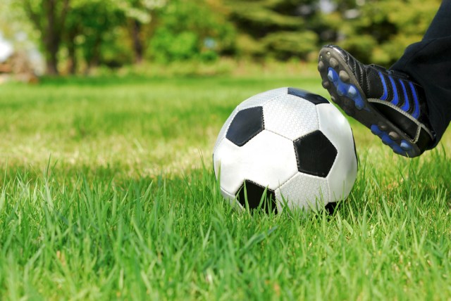 shutterstock_13272892