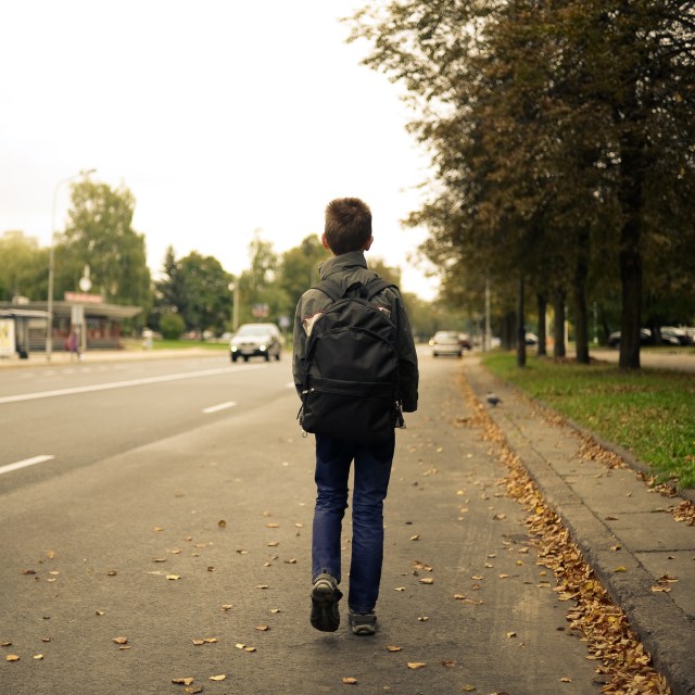 shutterstock_155310233