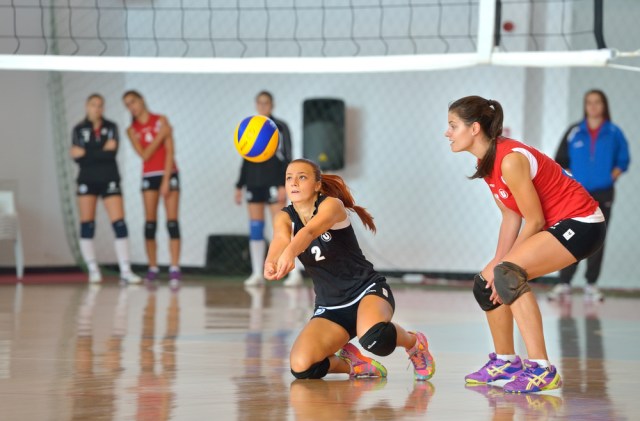 shutterstock_234158443