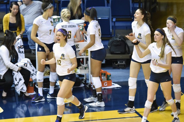 shutterstock_234444574