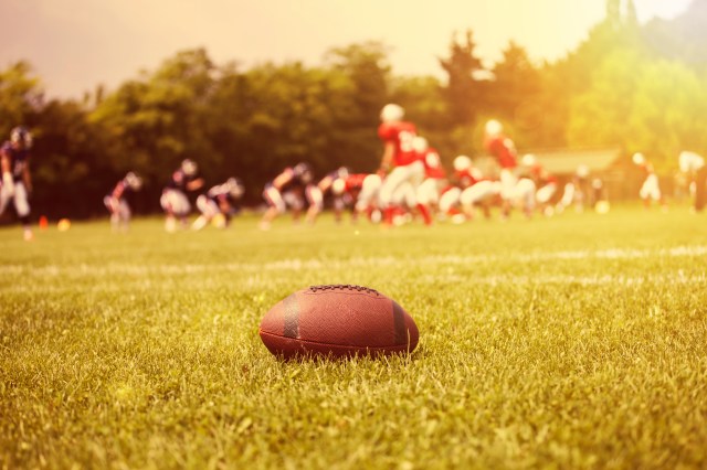 Shutterstock_443104903