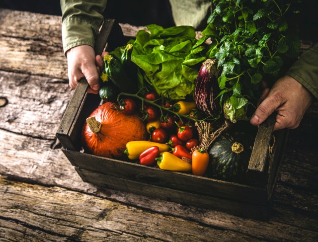 Organic vegetables on wood. Farmer holding harvested vegetables. Rustic setting