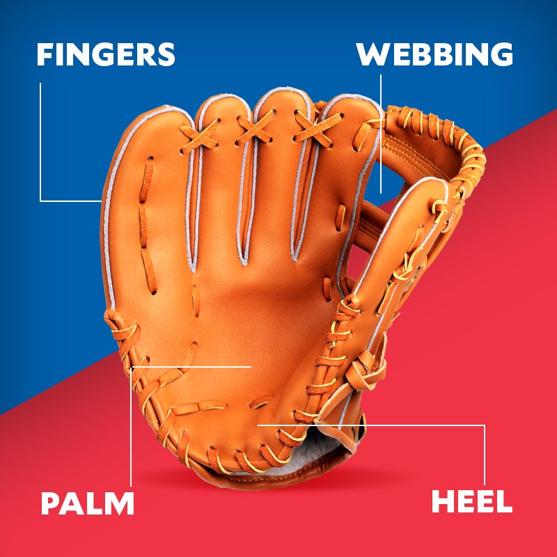 Parts of a softball glove