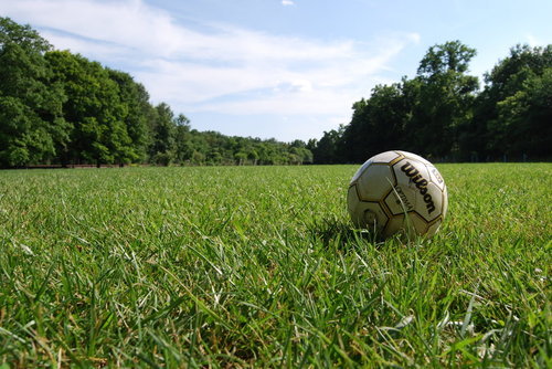Soccer ball in grass